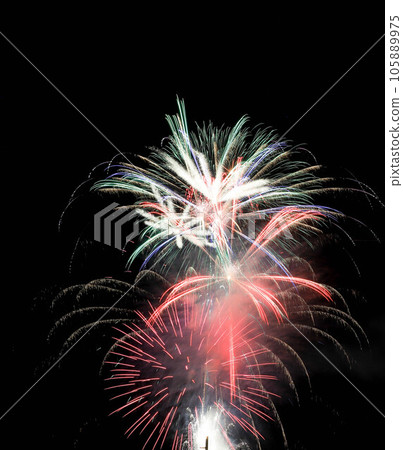 Fireworks blooming in the night sky 105889975