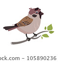 Funny bird Sparrow. Vector illustration of a field sparrow, feathered character. Cute print in flat cartoon style. Isolated on white background 105890236
