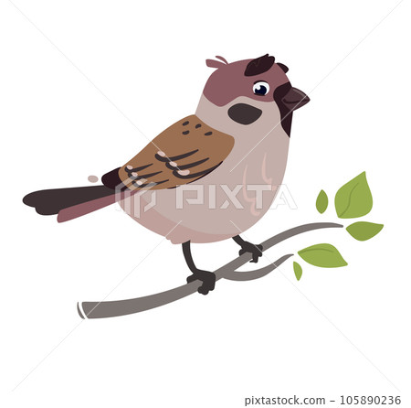 Funny bird Sparrow. Vector illustration of a field sparrow, feathered character. Cute print in flat cartoon style. Isolated on white background 105890236