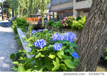 Townscape of Perry Road, Shimoda City, Shizuoka Prefecture 105890776
