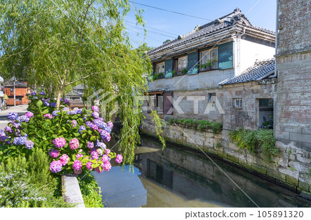 紫陽花節期間靜岡縣下田市佩里路 105891320