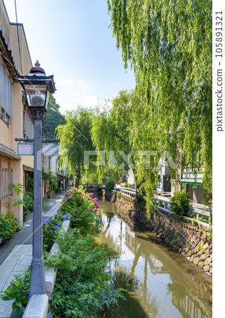 紫陽花節期間靜岡縣下田市佩里路 紫陽花節期間靜岡縣下田市佩里路 105891321