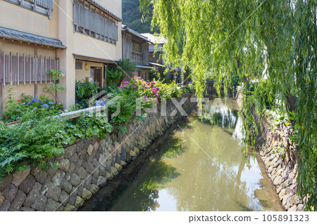 Shimoda City, Shizuoka Prefecture Perry Road during the hydrangea festival season Shimoda City, Shizuoka Prefecture Perry Road during the hydrangea festival season 105891323
