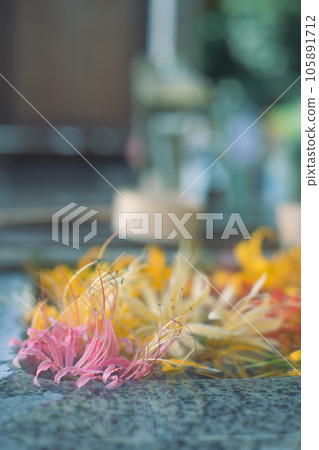 花水 花水 105891712