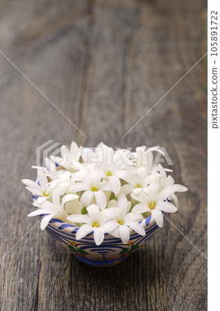 晚香玉插花 105891722