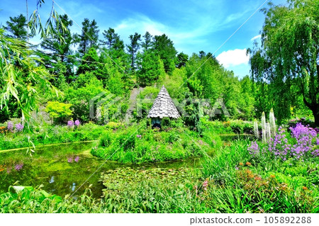 上野農場的風景（北海道旭川市） 105892288