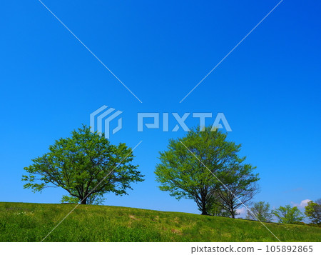 Summer clouds and hills 105892865