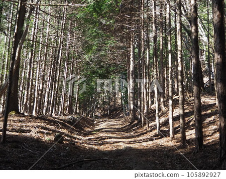 Headquarters Kamaru Mountain Trail 105892927