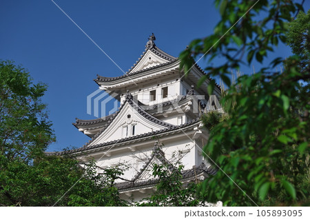 Ogaki castle 105893095