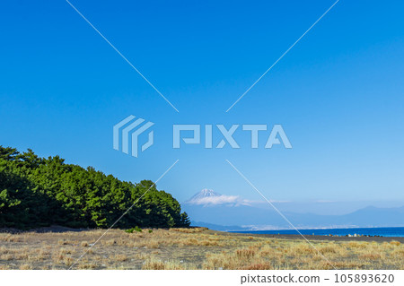 [Scenery of Shizuoka] Miho no Matsubara and Mt. Fuji 105893620