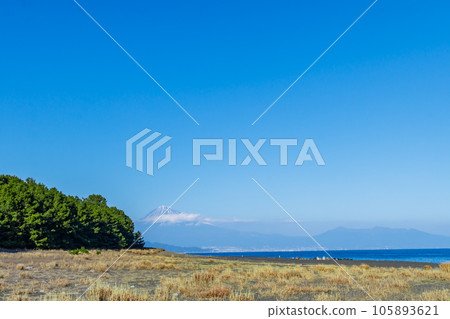 [Scenery of Shizuoka] Miho no Matsubara and Mt. Fuji 105893621