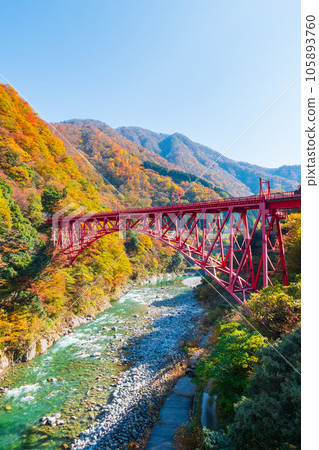 秋天的黑部峽谷（黑部川、新山彥橋） 105893760
