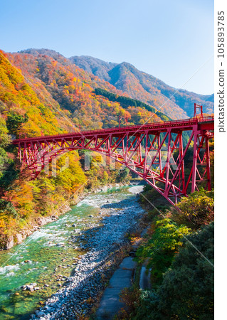 Kurobe Gorge in Autumn (Kurobe River and Shinyamabiko Bridge) Kurobe Gorge in Autumn (Kurobe River and Shinyamabiko Bridge) 105893785