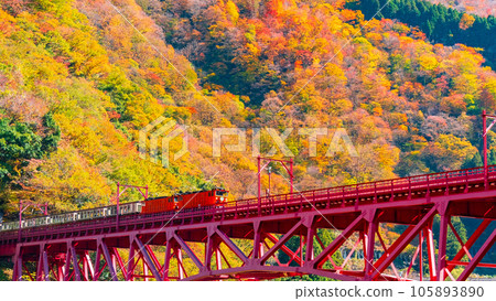 Kurobe Gorge in Autumn: Torokko Train Running on Shinyamabiko Bridge Kurobe Gorge in Autumn: Torokko Train Running on Shinyamabiko Bridge 105893890