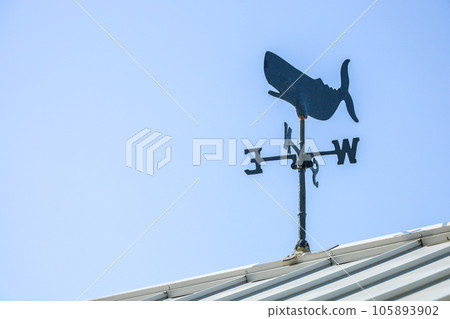 blue sky and weatherwhale blue sky and weatherwhale 105893902
