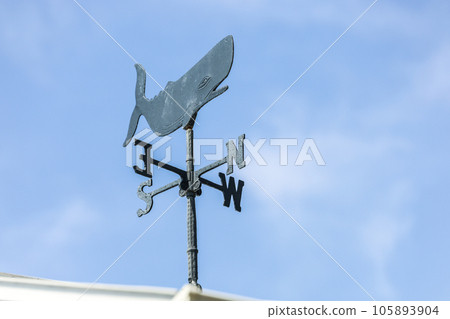 blue sky and weatherwhale 105893904