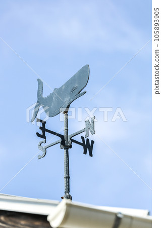 blue sky and weatherwhale blue sky and weatherwhale 105893905