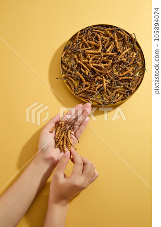 On the dark beige background, cordyceps are placed in the female's palm, decorated with a round tray containing a lot of cordyceps. Minimal scene for advertising with copy space 105894074