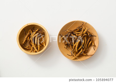 Two wooden trays containing dried cordyceps isolated on white background. Minimalist scene for advertising and branding product from cordyceps. Top view, blank space for design Two wooden trays containing dried cordyceps isolated on white background. Minimalist scene for advertising and branding product from cordyceps. Top view, blank space for design 105894077
