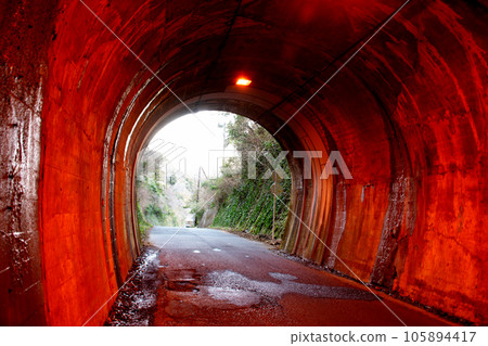 從隧道內看去 從隧道內看去 105894417