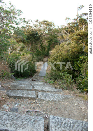 通往大海的路 105894419