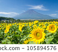 從向日葵田看夏天的富士山 105894576