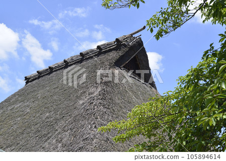 法華寺 古月亭的茅草屋頂 奈良市法華寺町 105894614