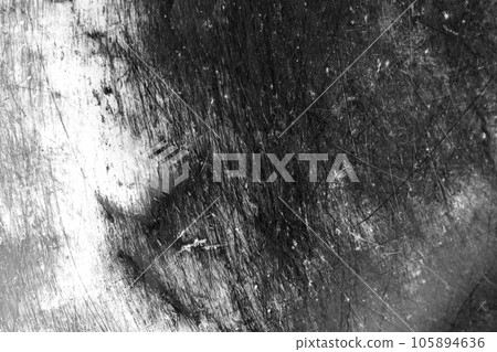 Grunge Black and White Distress Texture. Scratch Dirty Texture Background Grunge Black and White Distress Texture. Scratch Dirty Texture Background 105894636