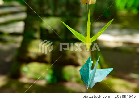 深大寺展示的摺紙鶴 105894649