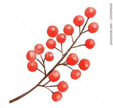 紅色漿果樹枝的插圖 紅色漿果樹枝的插圖 105894838