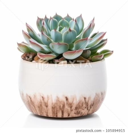 Transform your home into an indoor oasis with these stunning succulent plants. Care and tips included to keep your greenery looking beautiful. AI Generative. 105894915