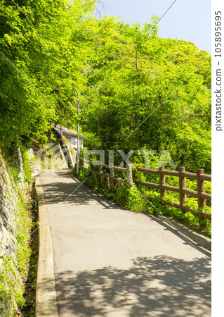 Mount Rokko mountain trail with fresh greenery in Chuo Ward, Kobe City Mount Rokko mountain trail with fresh greenery in Chuo Ward, Kobe City 105895695