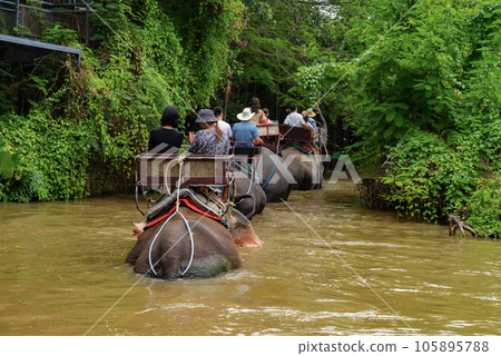 騎大象體驗 穿越叢林 105895788