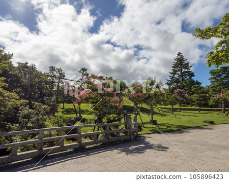 Nara Park Ukigumoenchi in summer where crape myrtle flowers bloom 105896423