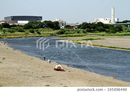相模川厚木市步美橋上游的初夏香魚捕撈 105896490
