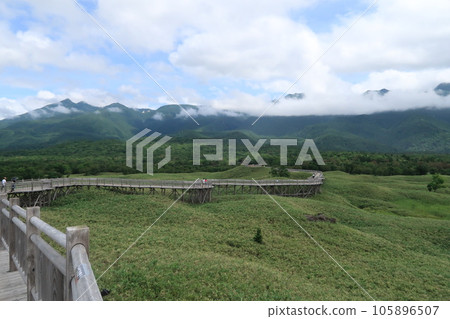 北海道知床五湖高架木棧道 105896507