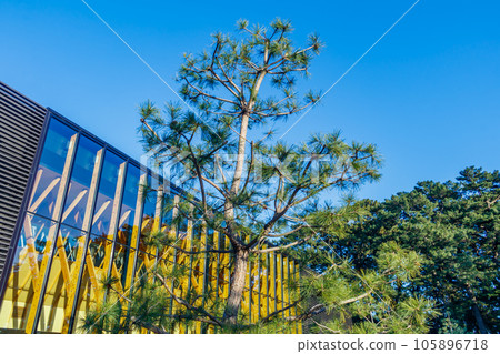 [Scenery of Shizuoka] Miho no Matsubara 105896718