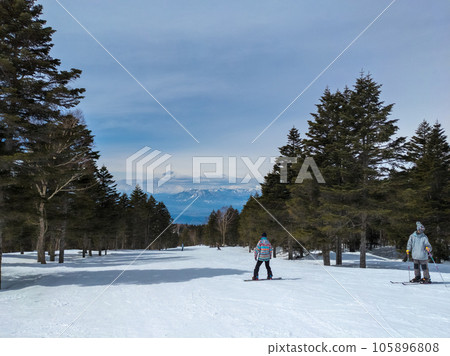 Gentle slope course surrounded by forest (Ryuoo Ski Park, Nagano Prefecture) 105896808