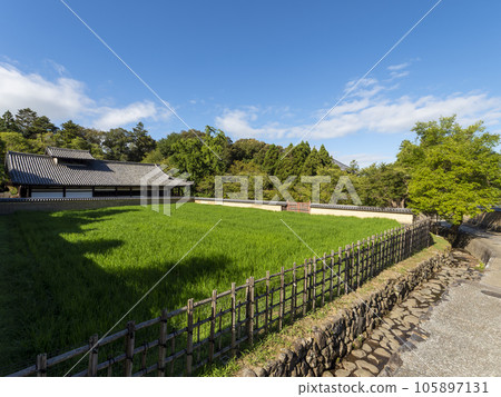 生長著新鮮綠苗的東大寺二月堂九田 生長著新鮮綠苗的東大寺二月堂九田 105897131