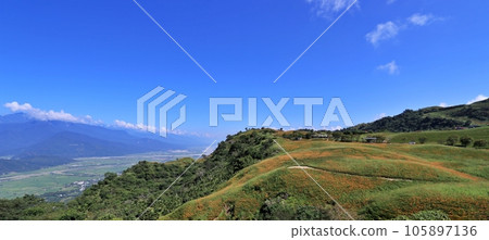 花蓮六十石山金針花海與花東縱谷風光 花蓮六十石山金針花海與花東縱谷風光 105897136