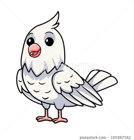 Cute albino cockatiel bird cartoon Cute albino cockatiel bird cartoon 105897382
