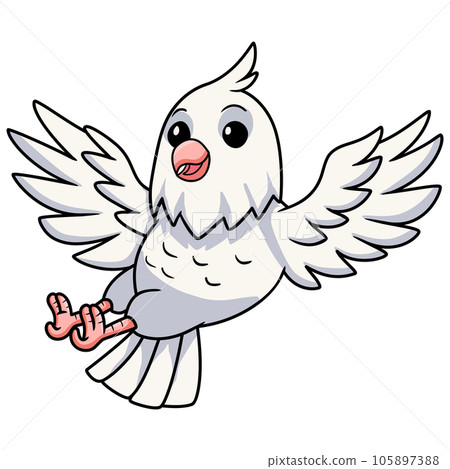 Cute albino cockatiel bird cartoon 105897388