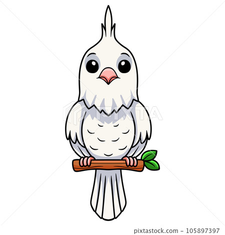 Cute albino cockatiel bird cartoon on tree branch Cute albino cockatiel bird cartoon on tree branch 105897397