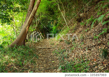 Mountain road 105897969