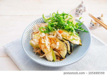 Mizunasu eggplant eaten raw with plenty of condiments Mizunasu eggplant eaten raw with plenty of condiments 105898599