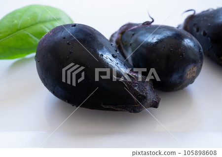 淡水茄子 105898608