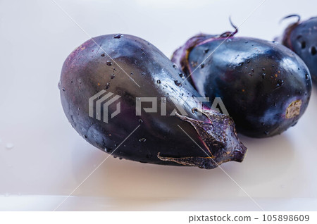 Fresh water eggplant Fresh water eggplant 105898609