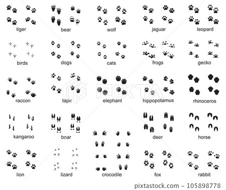 animal, icon, silhouette 105898778