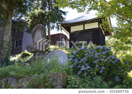 八幡神社~新潟縣妙高市杉之澤~ 八幡神社~新潟縣妙高市杉之澤~ 105899756