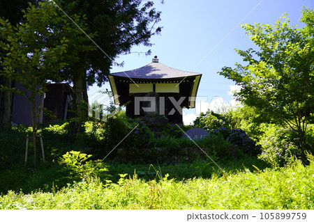 Hachiman Shrine ~ Suginosawa, Myoko City, Niigata Prefecture ~ Hachiman Shrine ~ Suginosawa, Myoko City, Niigata Prefecture ~ 105899759